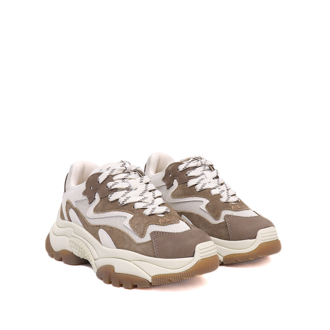 Ash Sneaker Addict06