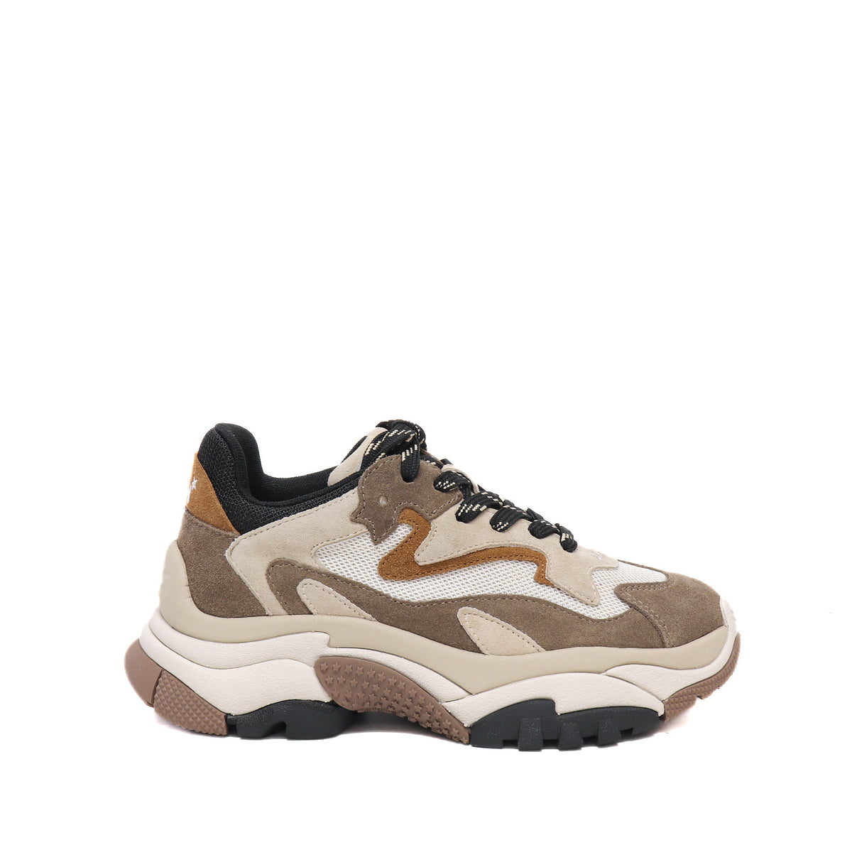 Ash Sneaker Addict02