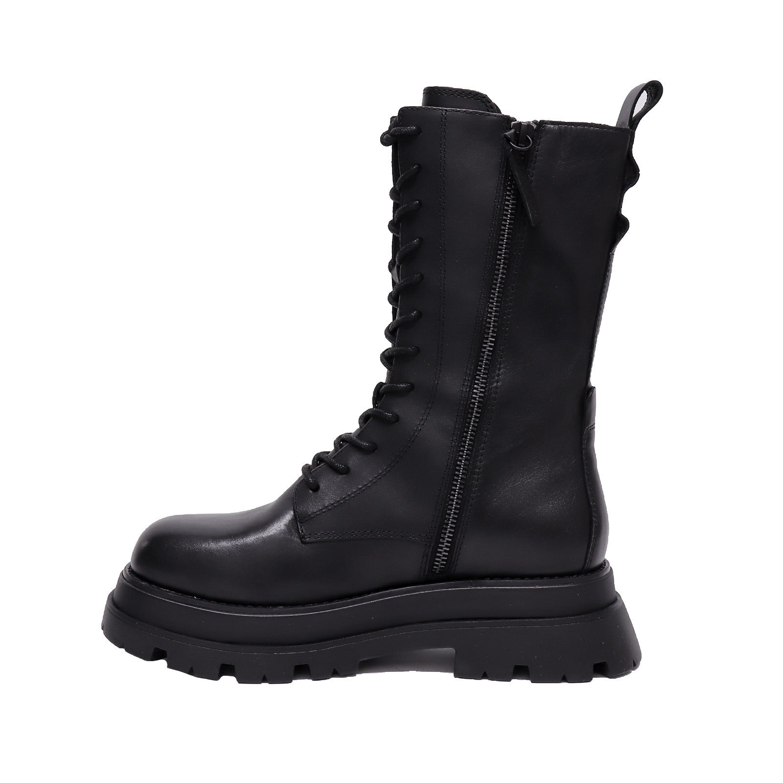 Ash Amphibian Elton01