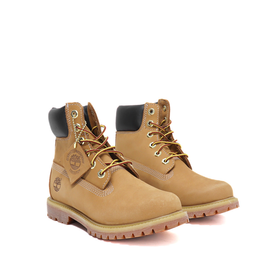 Timberland Amphibious Premium 6-Inch W