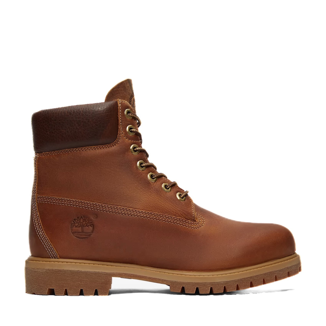 Timberland Amphibious Premium 6-Inch