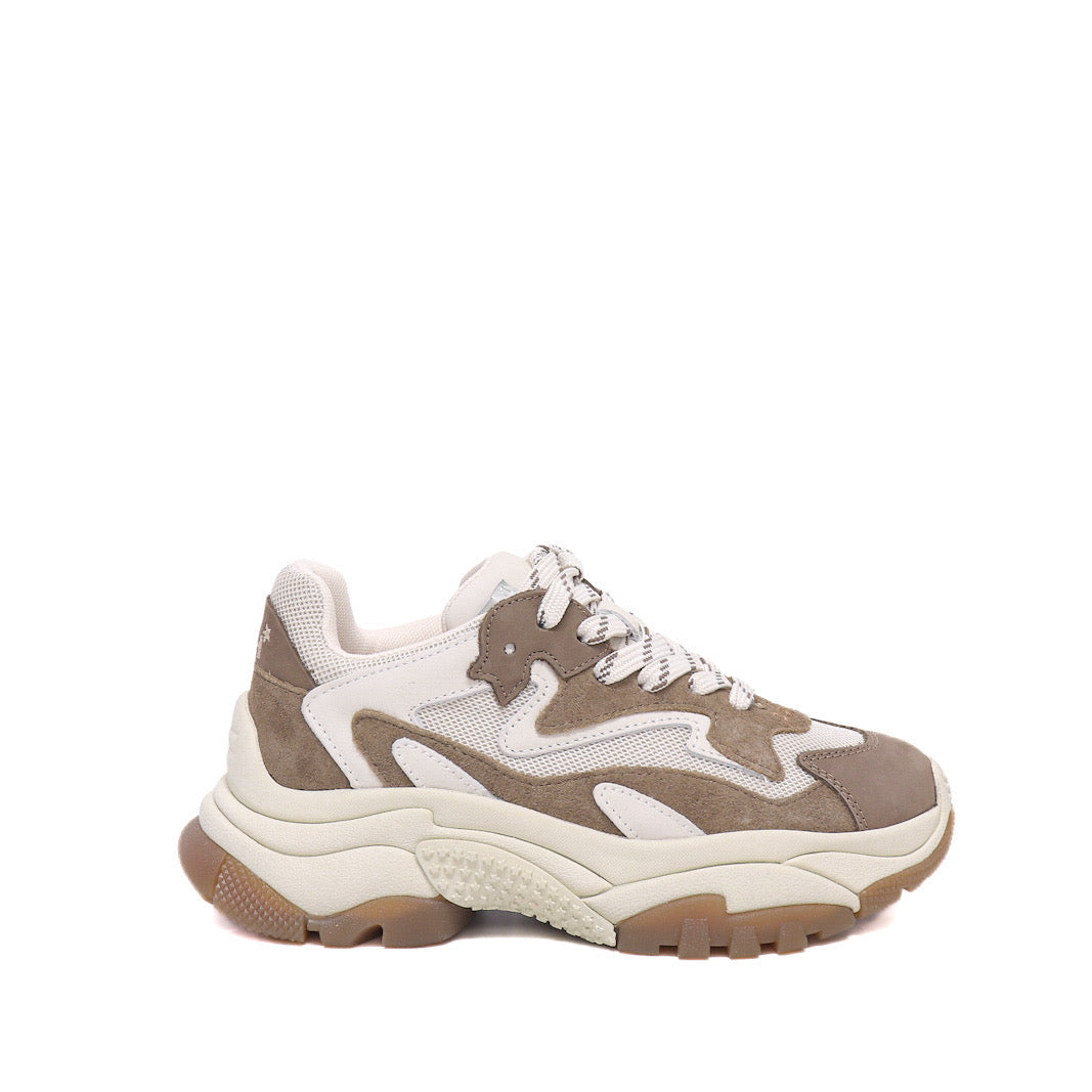 Ash Sneaker Addict06